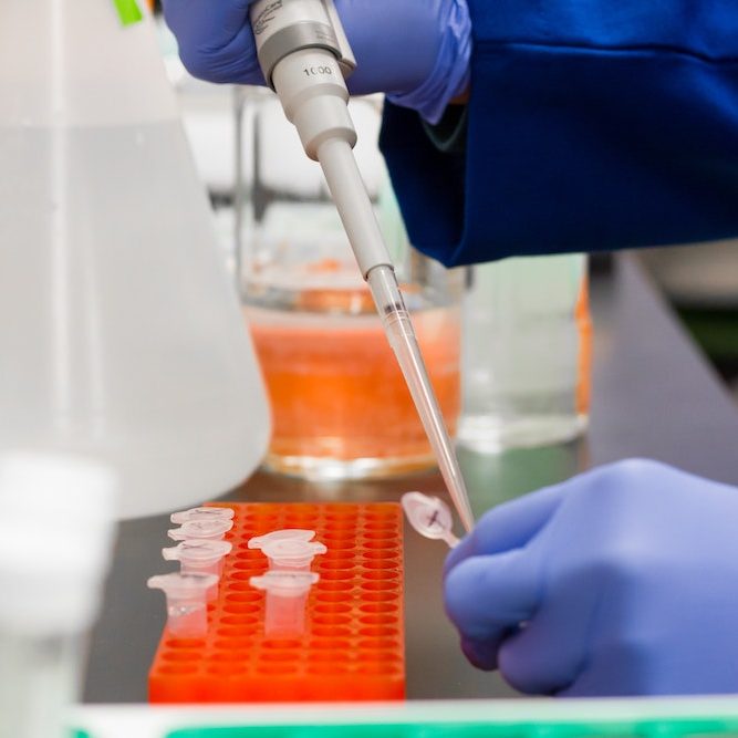 Test tubes and pipette in a biopharmaceutical lab