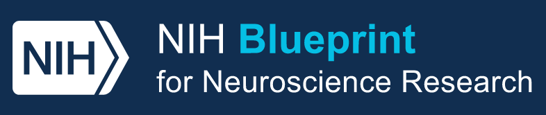 logo for NIH Blueprint for Neurosciences Research program