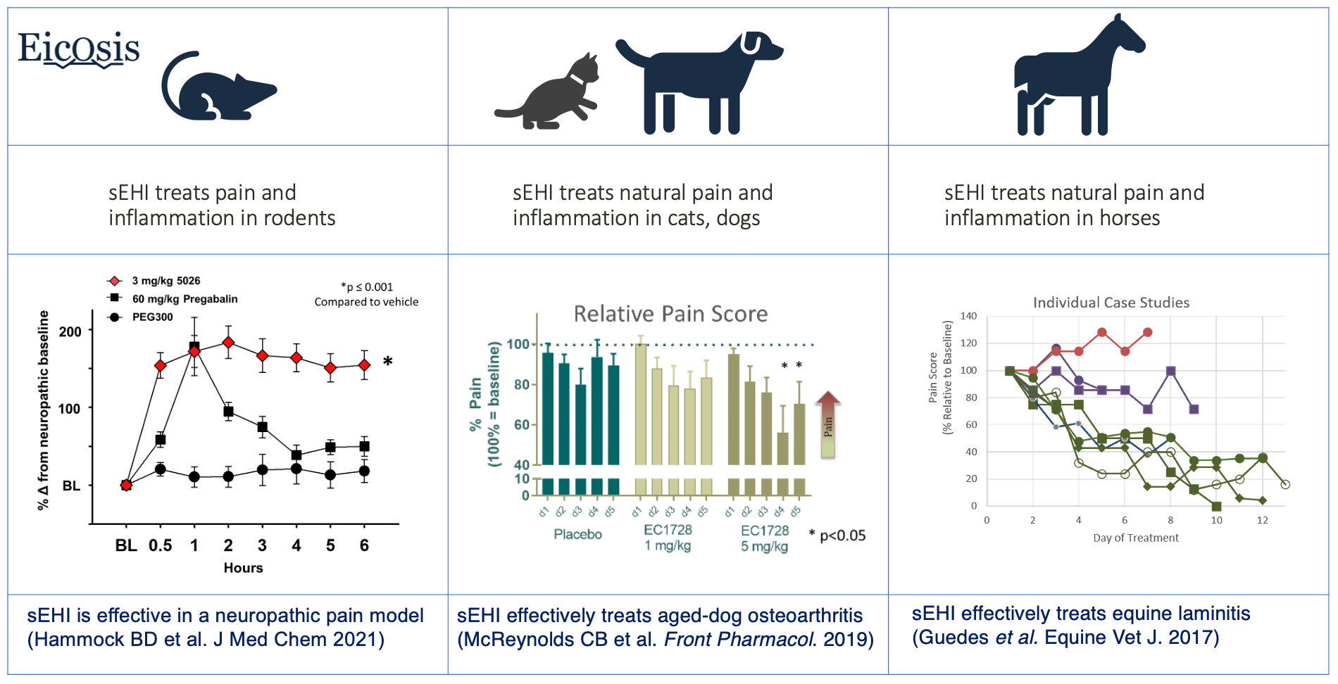 Shows how sEH inhibitors have shown efficacy in animal models, supporting translation to human pain and inflammation